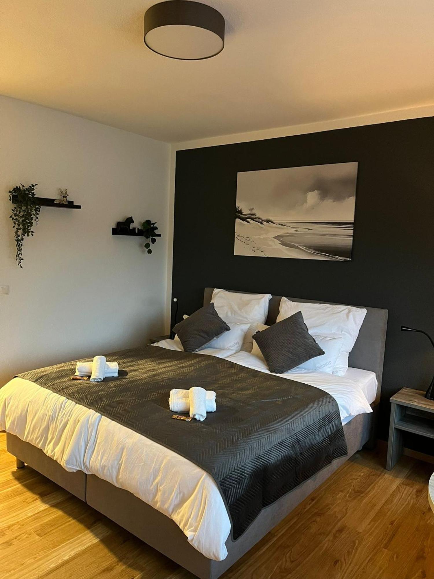 Rheinpanorama Suite Mit Balkon Koblenz  Exterior photo
